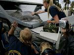 A trainer calms a U.S. Navy dolphin before it is transported to a boat prior to a training exercise at Naval Base Point Loma in 2007 in San Diego, Calif. The Navy's Marine Mammal Program was declassified in the 1990s.