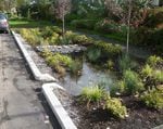 A "green street" project in Portland designed to absorb stormwater and prevent sewer backups and overflows.