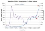 The total amount of geoduck catch reported by fishers (landings) has remained fairly steady since a 2.7 percent harvest rate was established in the 1980s. At the same time, the overall value of geoduck prices has risen dramatically.