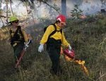 In this October 2021 photo, a Native American firefighter uses a drip torch to set a parcel of land outside of Eugene on fire, as a burn boss watches on. The cultural burn was done following a week of training in traditional and modern fire suppression techniques.