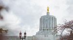An investigation by the Oregon Bureau of Labor and Industries found that state lawmakers didn't curb sexual harassment they knew was happening or should have known was occurring, leading to a hostile work environment.
