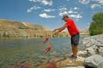 Colville fisherman Randy Friedlander tosses carcasses of downstream salmon at the base of Grand Coulee Dam to honor ancestors and show salmon the way when fish runs are restored.
