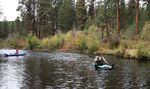 Arthur Mitchell searches for salmon redds on the Warm Springs River, a tributary of the Deschutes River.