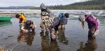 Students releasing salmon into the lake on the Salmon Field Trip.