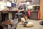 Kiki, a dog who is part of Portland's arson investigations team, can detect 40 different kinds of accelerants and she costs $25,000 to train, courtesy of an insurance company.