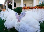 The two national Thanksgiving turkeys, Peanut Butter and Jelly, are photographed in the Rose Garden of the White House before a pardon ceremony last year.