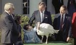 President George H.W. Bush and Shannon Duffy, then 8, of Fairfax, Va., look over a Thanksgiving turkey in 1989. The 50-pound bird is the first to be officially pardoned by a president.