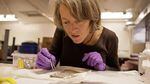 Jenifer McIntyre, WSU researcher, scrutinizes juvenile coho salmon that had been exposed to stormwater in this 2012 file photo.