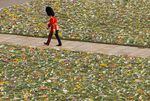 A member of the Coldstream Guards walks past a bed of flowers during the State Funeral of Queen Elizabeth II on Monday.