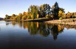 Fall colors reflect in the Willamette River in Portland's Cathedral Park underneath the St. John's Bridge.