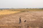 FILE: Justin Grant walks through a dry field last July that he was unable to irrigate because of low water supply, in Klamath Falls, Ore. 