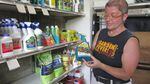 Lori Vollmer, owner of Garden Fever nursery in Portland, removed pesticides containing neonicotinoid chemicals from her store shelves after an estimated 50,000 bumblebees were killed in Wilsonville.