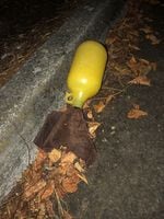 A yellow jar with a brown towel stuffed into its mouth rests amongst leaves on the side of a road.