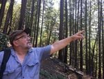 Former U.S. Forest Service employee and firefighter Rich Fairbanks points out the many trees that survived the Miller Complex Fire in 2017.