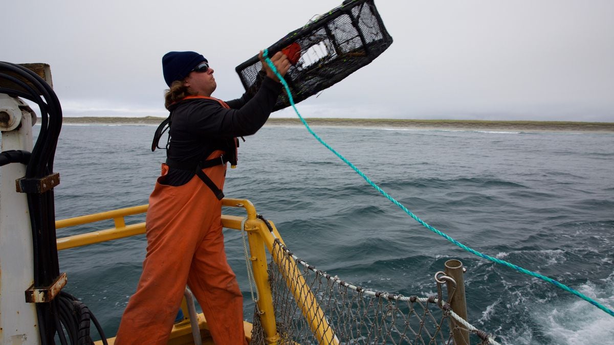 As Alaska cancels its snow crab season, Oregon’s commercial fishing industry feels the effect