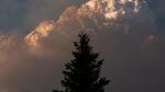 A plume of smoke behind the silhouette of a tree.