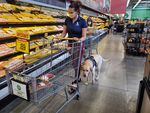Danyelle Clark-Gutierrez and her service dog, Lisa, shop for food at a grocery store. Clark-Gutierrez got the yellow Labrador retriever to help her cope with post-traumatic stress disorder after she experienced military sexual trauma while serving in the Air Force.