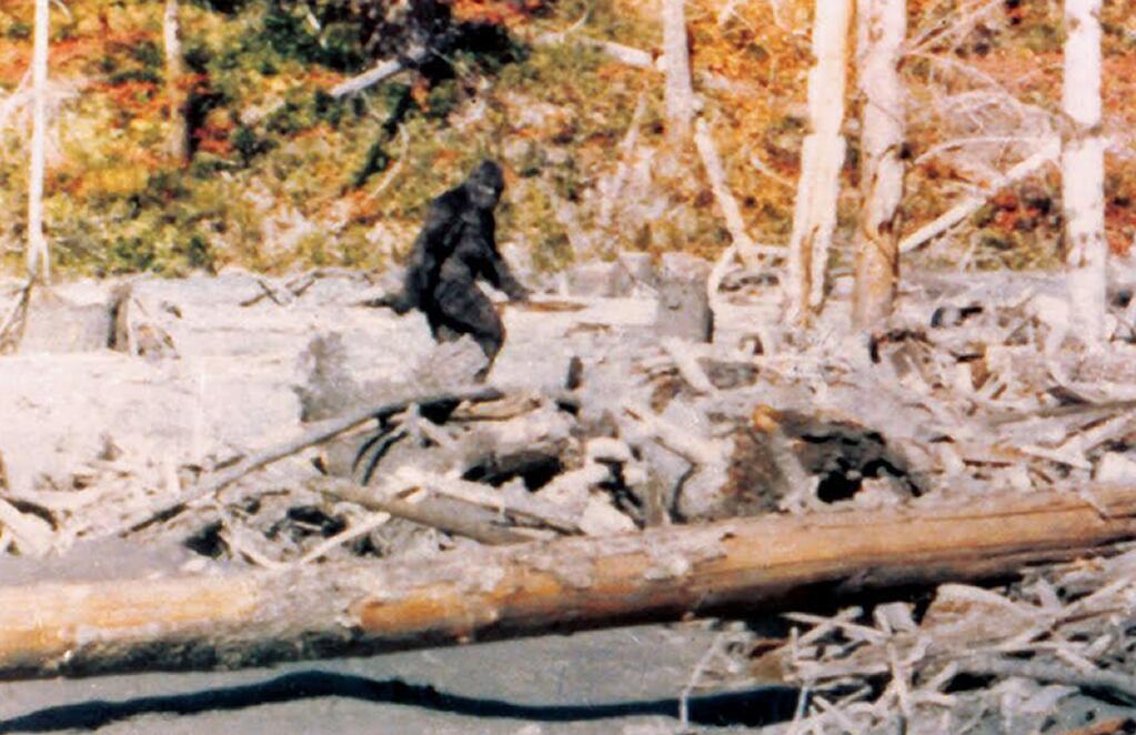 5 Times Bigfoot Was Seen Recently In Washington State