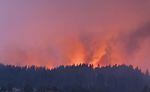 Orange, smoky skies above a treelined ridgeline where wildfire is burning.