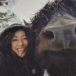 Sophia Weiss is the owner of Firebird Farms, a yak ranch located outside of Ashland in Southern Oregon. She is shown in this photo taken in winter 2019 posing with Rinchen, one of the roughly 80 yaks in her herd.