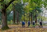 Walkers pass through Alberta Park in Portland during a dementia-friendly walk, Nov. 10, 2021. The walks went on hold during the omicron wave of COVID-19, but they're planned to resume in April. 