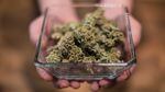 Clark County, Washington is the latest jurisdiction to reconsider its ban on recreational marijuana.