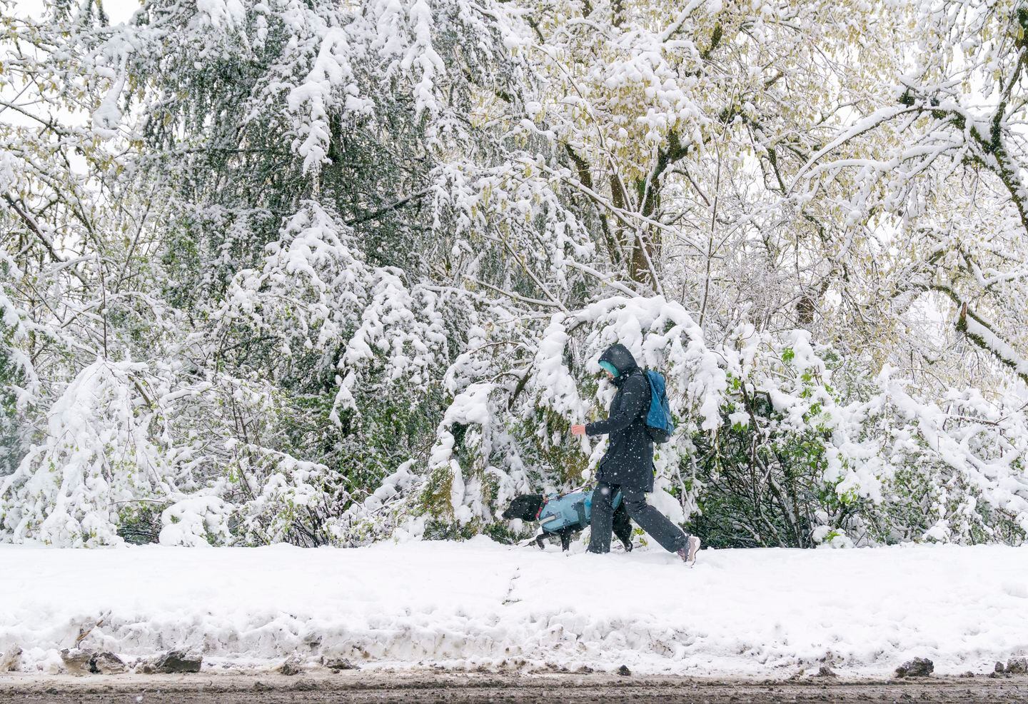 Could it snow in Portland Thursday? 
