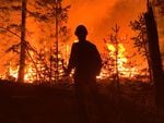 In this photo provided by the Bootleg Fire Incident Command, a firefighter is silhouetted against the flames of the Bootleg Fire.