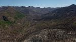 An aerial view of the forest surrounding Jawbone Flats, where the Beachie Creek Fire has burned nearly 200,000 acres.