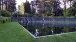 A photo of a beautiful pool on the campus of Lewis & Clark.