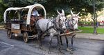 Wagon Train Adventures are in downtown Portland to give free rides and boost tourism.