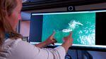 Oregon State University researcher Leigh Torres demonstrates how drone footage allows her to measure the length and girth of gray whales off the Oregon coast.
