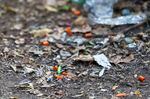 A 2021 file photo of needles and syringe caps, found along the roadway in a former homeless camp in Portland. Under Measure 110, low-level possession of illicit drugs is longer an arrestable offense in Oregon, a policy Oregon's candidates for governor have criticized.