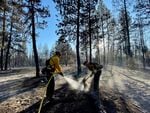 Firefighters work the Golden Fire in Klamath County, Ore., Monday, July 24, 2023, in this photo provided by the Oregon Department of Forestry.
