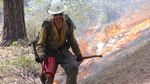A member of the Wolf Creek Hotshots uses a drip torch to ignite the forest floor during a prescribed burn near Sisters, Oregon.