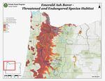 Ash trees are vital to keeping streams and rivers shaded, and healthy for fish and other species. The map shows areas most likely to be impacted by the Emerald Ash Borer.