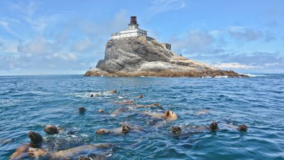 Owner to sell historic 'Terrible lighthouse - OPB
