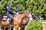 Two mounted officers stand patiently during the ceremony.
