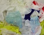 Seattle's  ban on single-use plastic bags makes it the latest - and largest - Northwest city to impose such restrictions.