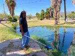 The waters of the Ha' Kamwe' hot springs are healing and sacred, says Ivan Bender, the caretaker of the Cholla Canyon Ranch, which belongs to the Hualapai Tribe. Less than a hundred yards away, an Australian mining company called Arizona Lithium has been exploring for lithium.