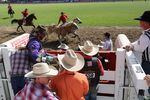 A cowboy gets ready to let er’ buck as the pick up riders drive the last rider’s horse away from the chutes.