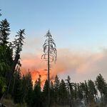 The Bedrock Fire burns on the Willamette National Forest east of Eugene, Ore., in this provided photo from the U.S. Forest Service, July 2023.