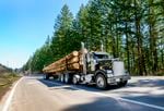 Logging trucks roll down Santiam Highway in front of the Detroit Ranger Station where about two dozen people gathered  April 15, 2021, protesting the post-wildfire logging along fire-impacted roads impacted by the wildfires of 2020.