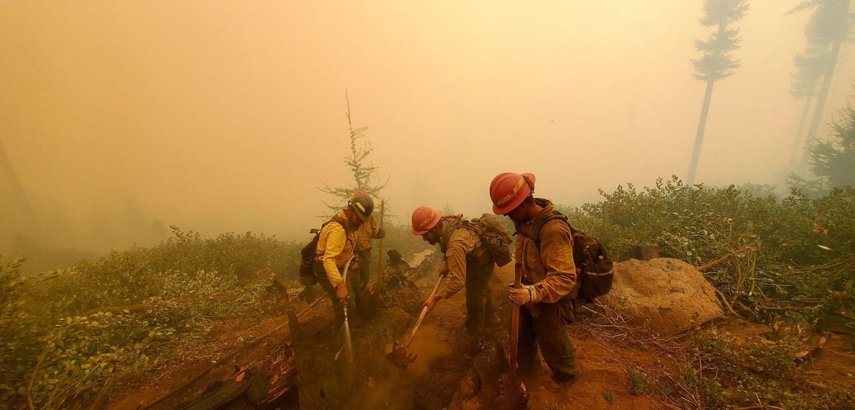 Why a blast of rainfall on Oregon’s new forest fire scars could trigger landslides - OPB News