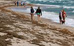 Beachgoers walk past seaweed that washed ashore on March 16, 2023 in Fort Lauderdale, Fla.