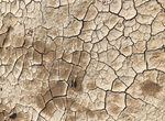 cracks in dry earth