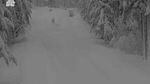A traffic camera still image shows a road completely blanketed in slow, with snow-covered trees on either side of the road