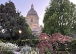 The flowers in the Washington State Capitol's sunken garden will be back in bloom by the time the 2023 Washington legislative session wraps up. The session starts Monday, Jan. 9.