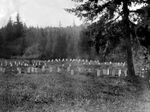 The poor farm may have had as many as three cemeteries. At least one was likely located in what is now the Oregon Zoo. 