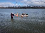 OPB photographer Stephani Gordon films a group of hardy cold dippers in the Columbia River.